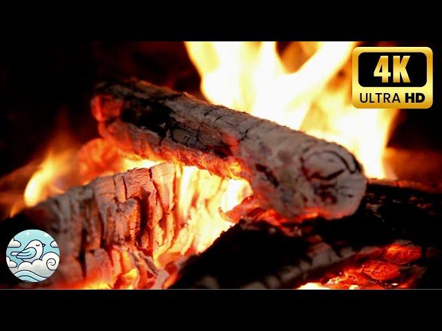  Cozy Fireplace Ambience (6 HOURS) – Fire Crackling Sounds for Sleep, Relaxation | ASMR Fire