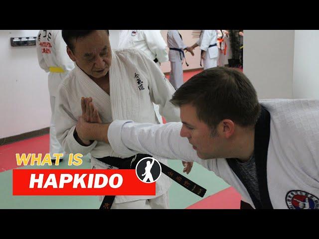 What is Hapkido?