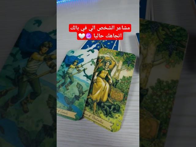 مشاعر الشخص الي في بالك اتجاهك  #تاروت #تاروت_علي_القهوة #tarot #tarotoncoffe #رسالة #ابراج