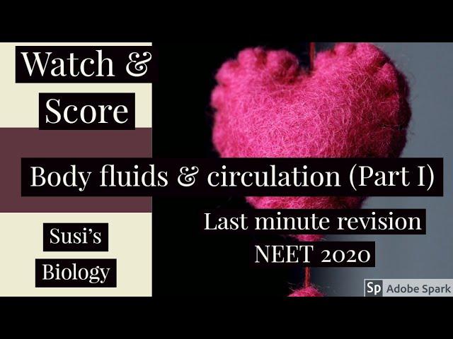 Important chapter|BODY FLUIDS& CIRCULATION\CLASS XI\PART-I| A short revision within 15 minutes|