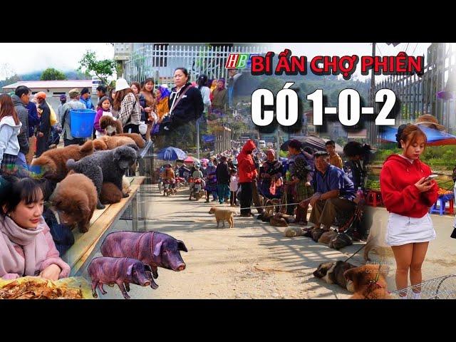 SHOCKED WITH BAC HA MARKET! H'Mong Coc dog, piglet, mountain specialties | Vietnam Mountain Market