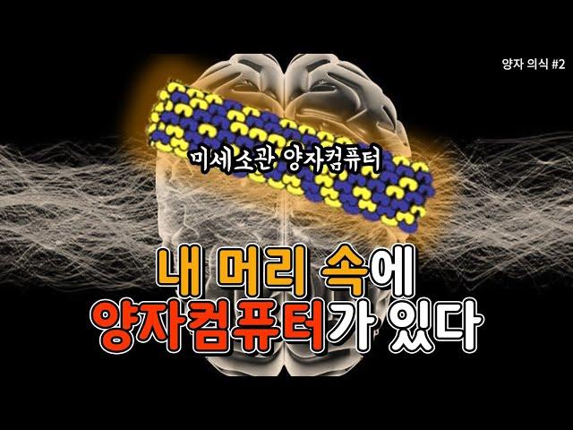 우리의 머리가 양자컴퓨터라고? 뉴런보다도 더 작은 컴퓨터, 미세소관 (양자 의식 #2)