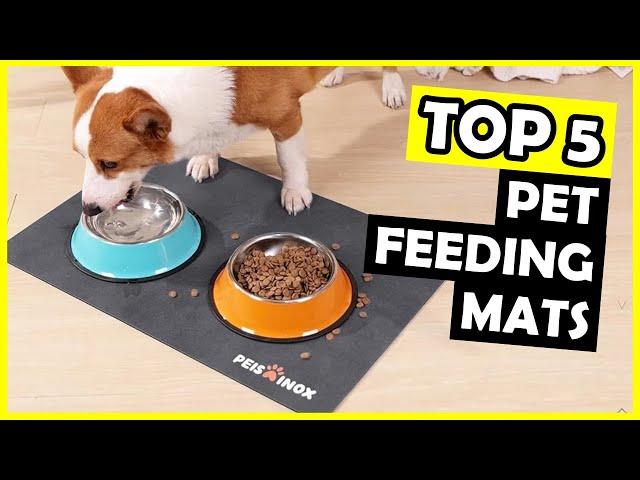 TOP 5: Best Pet Feeding Mat of 2025