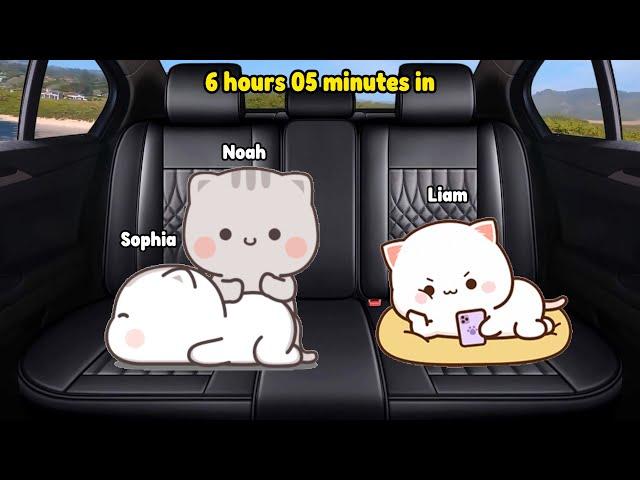 Cat Animation Road Trip Part 2