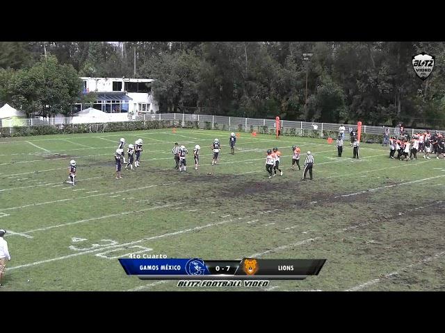 Juvenil Otoño 2024 - Gamos B Vs Lions Qro