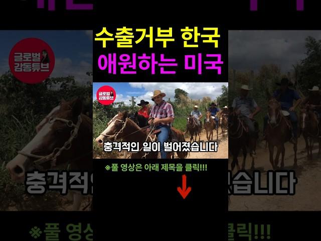 [해외감동사연] 수출 거부 한국, 애원하는 미국! 이것 때문에 한국으로 가는 미국 방문객 폭증!