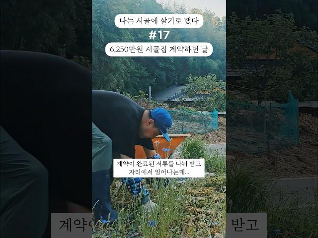 6천250만원 시골집 계약하던 날