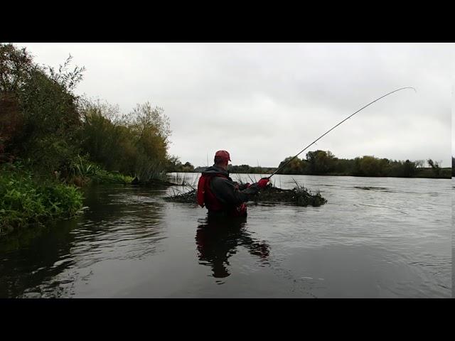 SHIMANO DIALUNA S96M  in action 2/2