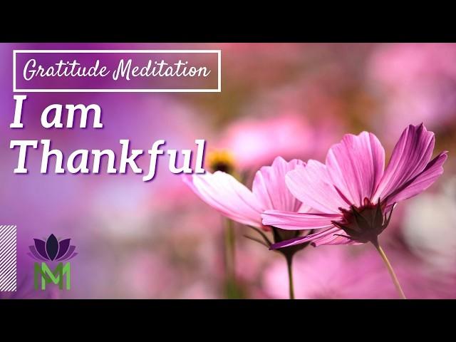 Cultivate Gratitude 10 Minute Morning Meditation | Mindful Movement