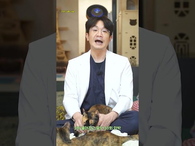 고양이 심폐소생술