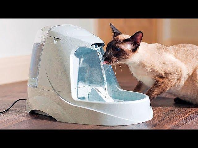 MUST HAVE GADGETS FOR YOUR PETS