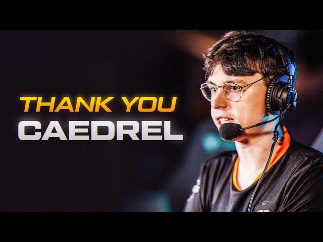 HE IS OUR RAT KING | Thank you, Caedrel