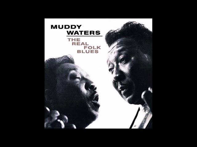 Muddy Waters - You Can't Lose What You Never Had [HD]