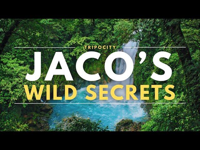 Jaco Unleashed Top 10 Must See Adventures in Costa Rica's Vibrant Paradise