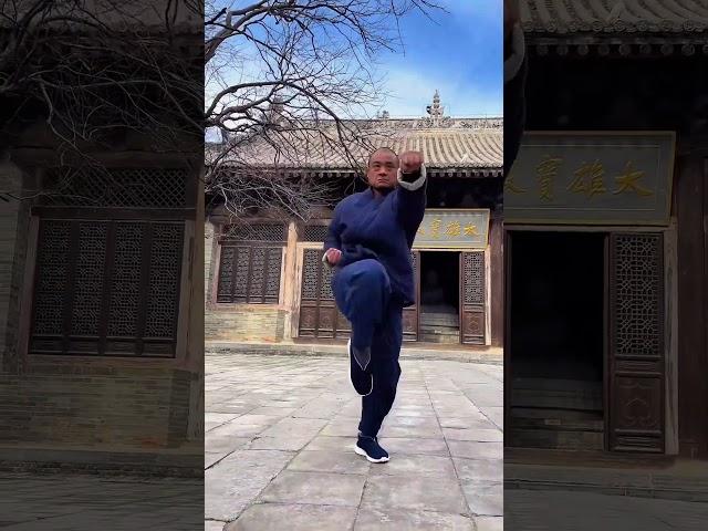 少林武僧展示連環拳，帶妳領略少林功夫的魅力#kungfu #shaolin #shorts