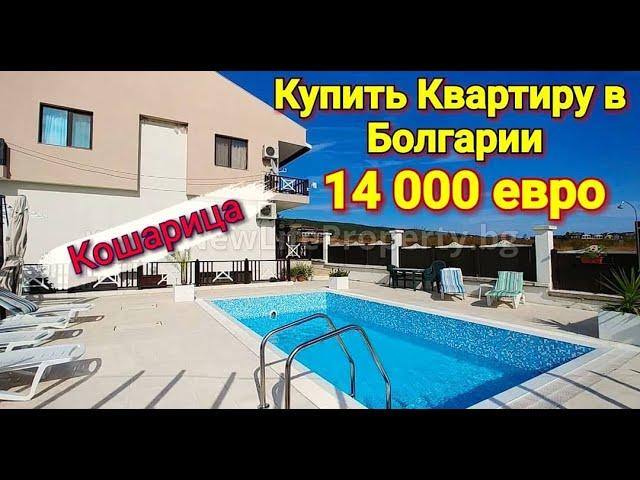 Недорогая Квартира Цена 14 000 Евро Кошарица, Недвижимость в Болгарии