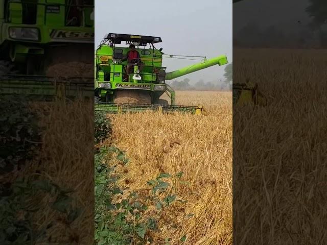KS combine harvester  #youtubeshorts #short #viral #harvester #Preet