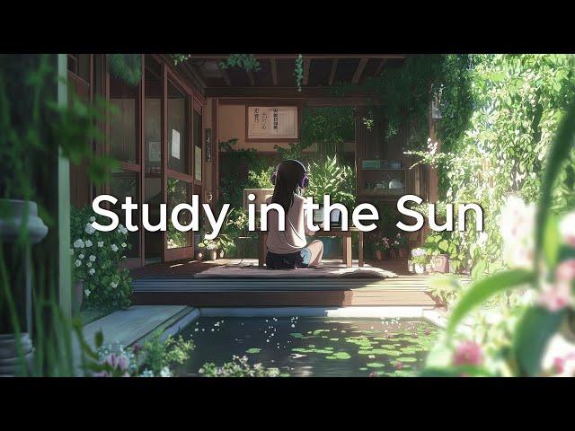 Focused Terrace Study in the Sun - Chill Hip Hop Lofi Beats