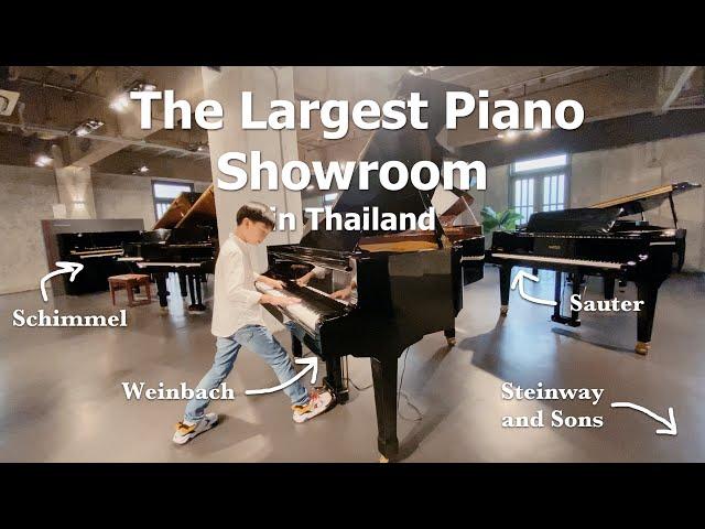 Visiting the Largest Piano Gallery - Steinway and Sons, Petrof, Schimmel, Sauter, Wilh. Steinberg