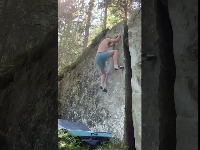 L’Angle Goban. Magic Wood