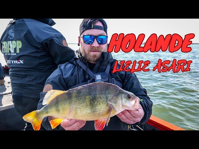 PERCH FISHING IN HOLLAND 06 03 25