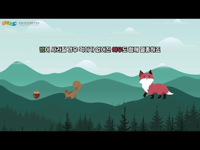 국립낙동강생물자원관 생물채널 ⓑ 생물다양성