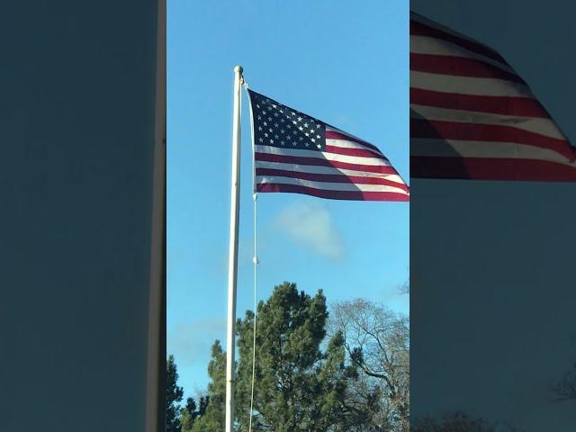 Dave Campbell Short: Pledge of Allegiance