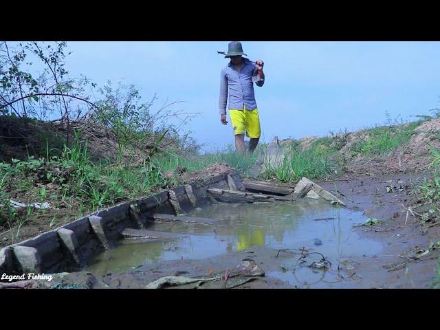 a Lot Fish On Boat on Dry Season | Finding Fish in Secret Mud Hole on Dry Season