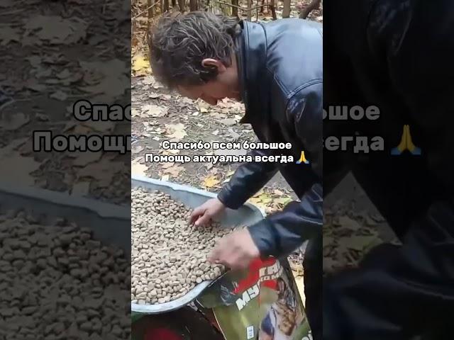 Корм собакам #helpanimals #помощьживотным #приют #dogshelter #животные #собака #благотворительность