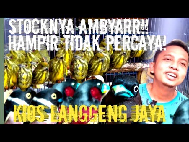 stock nya ambyarr !! hampir tidak percaya! kios langgeng jaya