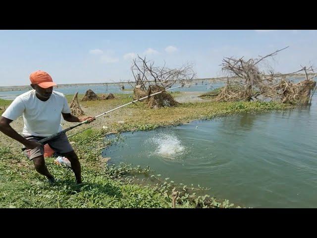 Unbelievable Very Big Fishes Hunting Moments by Professional Fisherman|Incredble Hook Fishing