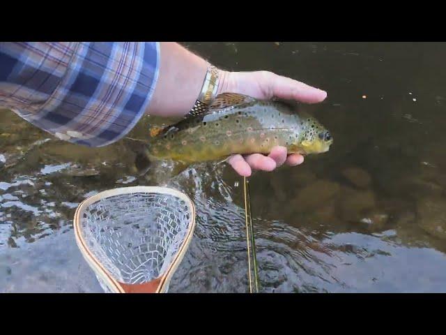 Fly Fishing in Colorado - Fryingpan River