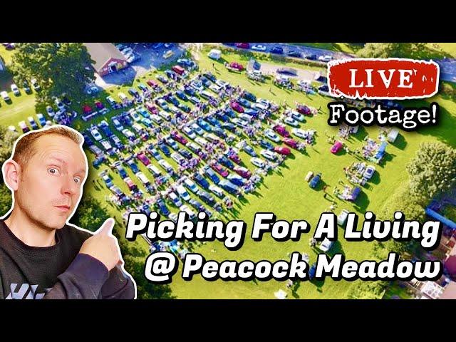 Peacock Meadow Car Boot Sale | Picking For A Living! | eBay UK Reseller 2021
