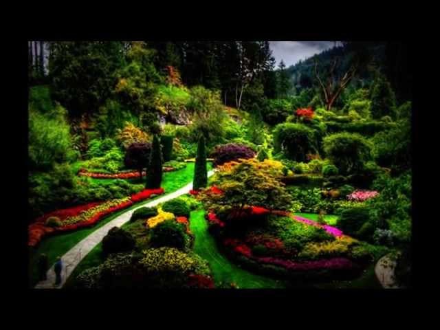 Enchanted - Relaxing Peaceful