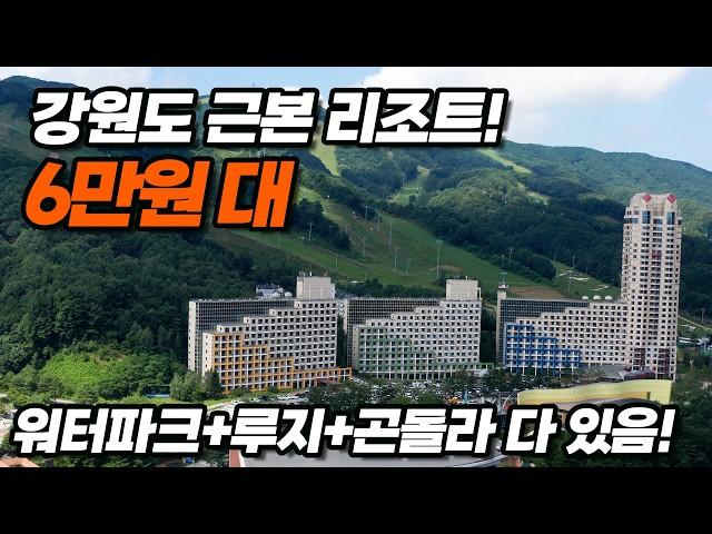 액티비티 싫다면 여기는 비추 워터파크,루지,곤돌라,식당까지 다 갖춘 강원도 리조트 근본! | 평창 휘닉스 파크 (블루캐니언 워터파크)