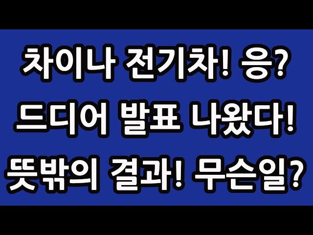 차이나 전기차 SOLACTIVE 주식 주가 전망 타이거 TIGER 중국 ETF 비야디 테슬라 니콜라 루시드 엔비디아 아이온큐 TQQQ SOXL TMF 이번 결과는 어떨까?