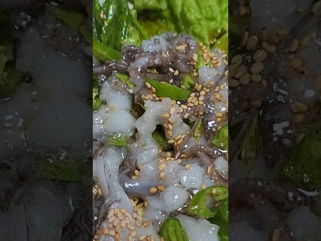 쓰러진 소도 일으킨다는 한국인의 별미 산낙지️ 산낙지 위에 청양고추 참기름 깨소금 퐉퐉 #산낙지 #먹고싶다 #지금 #이거먹으면 #독감떨어질것같아 #산지직송
