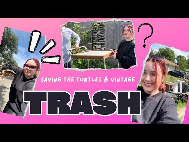 Saving the Turtles & Vintage Trash