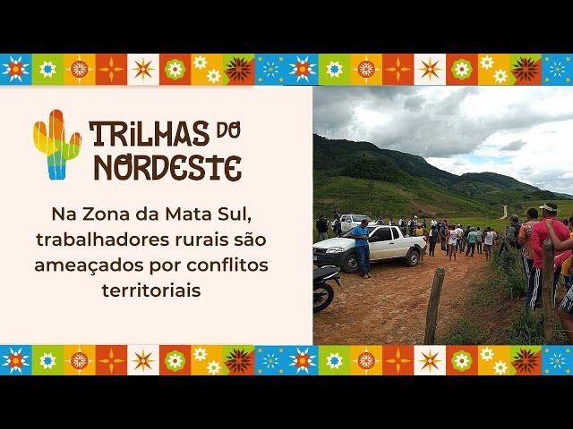 Na Zona da Mata Sul, trabalhadores rurais são ameaçados por conflitos territoriais