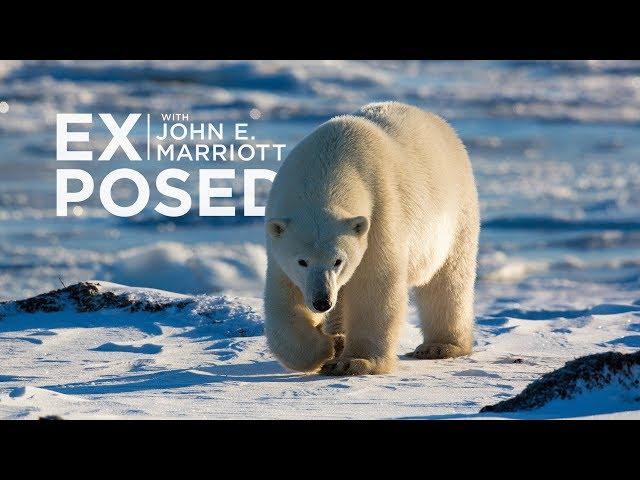 Expedition to the Arctic! | EXPOSED Wildlife Photography | EP 10