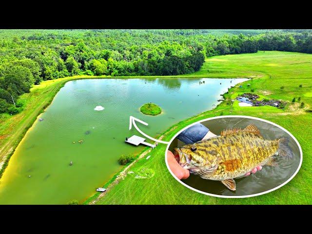 Adding Smallmouth Bass to the 5 Acre Pond!