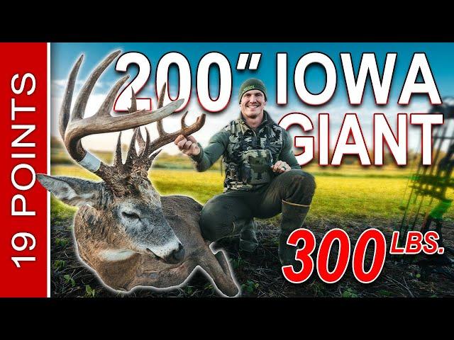 The Hunt For Dozer A MASSIVE 200 INCH DEER w/ a BOW! | Josh Bowmar |