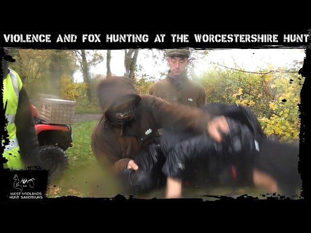 Violence and fox hunting at the Worcestershire Hunt