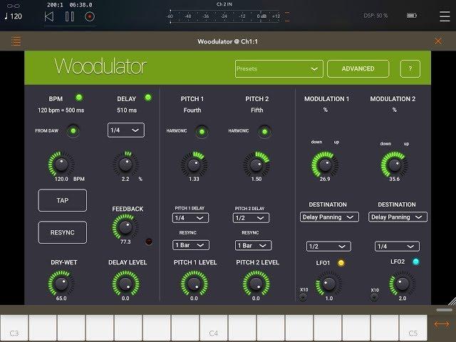 WOODULATOR Delay Pitch Modulator - AUv3 Effect - Demo for the iPad