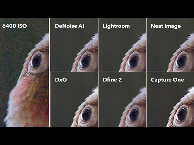 DeNoise AI is THE BEST Image Noise Reduction Software - PROOF!