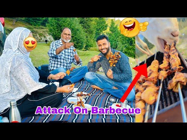 Camping With Family | Barbecue Making | Goat Attacked On Barbecue