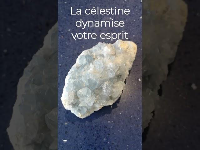 La célestine stimule votre esprit