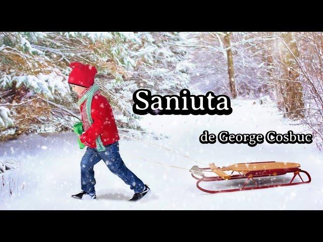 Săniuța de George Coșbuc | Versuri