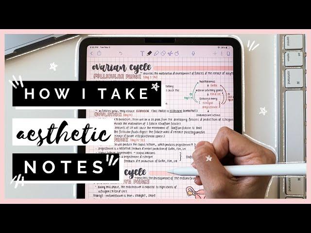 how I take AESTHETIC notes on iPad Pro│Notability 