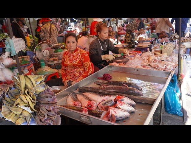 Cambodian Food Market Vs Fish Market - Daily Lifestyle Of Vendors Selling Food & Fish In Market